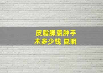 皮脂腺囊肿手术多少钱 昆明